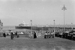 1939, Martin Ferenc, Fortepan #311829