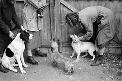 1937, Martin Ferenc, Fortepan #311838