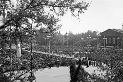 1938, Martin Ferenc, Fortepan #311840