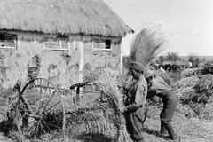 1942, Martin Ferenc, Fortepan #311846