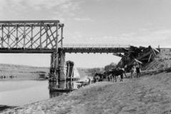 1942, Martin Ferenc, Fortepan #311853