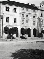 1934, Nagyhegyi Katalin, Fortepan #311911