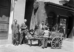 1934, Nagyhegyi Katalin, Fortepan #311932