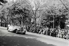 1937, Nagyhegyi Katalin, Fortepan #311940