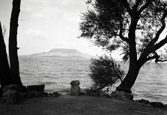 1937, Nagyhegyi Katalin, Fortepan #311941