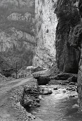 1938, Nagyhegyi Katalin, Fortepan #311951