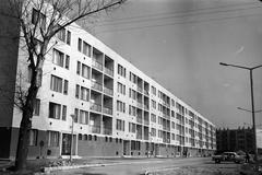 1967, Nagyhegyi Katalin, Fortepan #311952