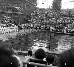 1963, Nagyhegyi Katalin, Fortepan #311964