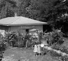 1963, Nagyhegyi Katalin, Fortepan #311965