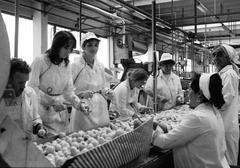 1984, Nándorfi Géza, Fortepan #312007