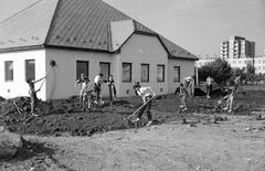 1984, Nándorfi Géza, Fortepan #312009