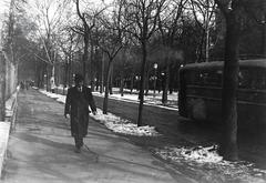 1938, Ódon Antikvárium, Fortepan #312080