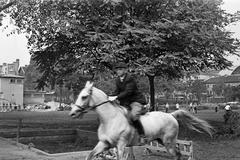 1960, Petrók Károly, Fortepan #312112