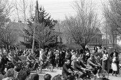 1954, Petrók Károly, Fortepan #312126