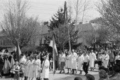 1954, Petrók Károly, Fortepan #312129