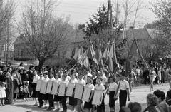 1954, Petrók Károly, Fortepan #312132