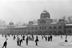 1954, Petrók Károly, Fortepan #312133
