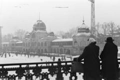 1954, Petrók Károly, Fortepan #312134