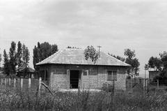 1960, Petrók Károly, Fortepan #312138