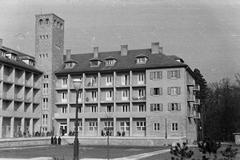 1955, Petrók Károly, Fortepan #312157