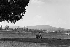 1960, Petrók Károly, Fortepan #312161