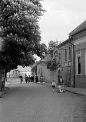 1960, Petrók Károly, Fortepan #312162