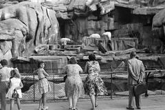 1958, Petrók Károly, Fortepan #312173