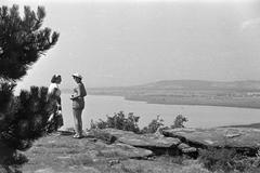 1952, Petrók Károly, Fortepan #312189