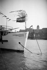 1965, Petrók Károly, Fortepan #312220