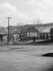 1961, Petrók Károly, Fortepan #312223