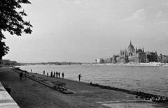 1961, Petrók Károly, Fortepan #312234