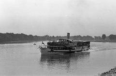 1961, Petrók Károly, Fortepan #312235