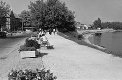 1961, Petrók Károly, Fortepan #312241