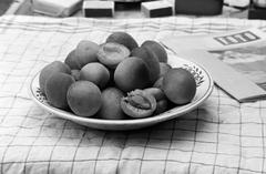 1964, Petrók Károly, Fortepan #312250