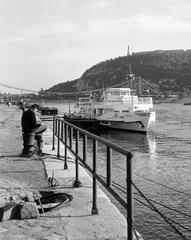 1963, Petrók Károly, Fortepan #312252