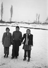 1948, Petrók Károly, Fortepan #312269