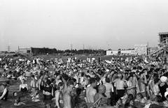 1950, Petrók Károly, Fortepan #312279