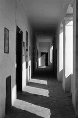 1950, Petrók Károly, Fortepan #312281