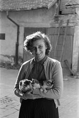 1951, Petrók Károly, Best of, Fortepan #312283