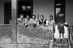 1951, Petrók Károly, Fortepan #312292