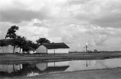 1953, Petrók Károly, Fortepan #312299