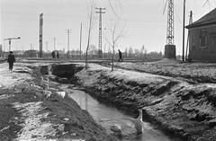 1953, Petrók Károly, Best of, vízpart, villanyoszlop, gémeskút, baromfi, Fortepan #312304