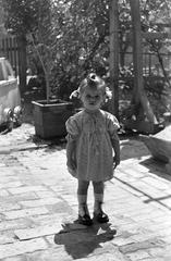 1950, Petrók Károly, Fortepan #312310