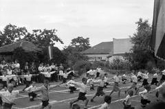 1948, Petrók Károly, Fortepan #312319