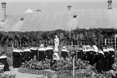 1948, Petrók Károly, Fortepan #312322