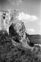 1949, Petrók Károly, Fortepan #312339