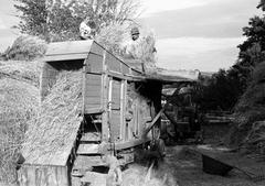 1949, Petrók Károly, Fortepan #312342