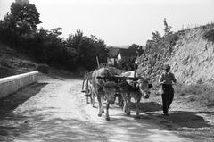 1949, Petrók Károly, Fortepan #312357