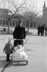 1947, Petrók Károly, Fortepan #312365