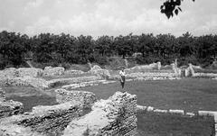 1947, Petrók Károly, Fortepan #312382